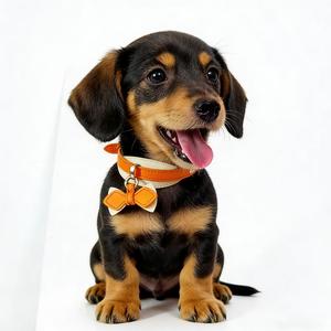Collar de Perro de Cuero Vegano de Lujo Personalizado con Lazo y Correa, Ajustable, al por Mayor, en Stock, Correas Recicladas para Mascotas - Product Image 3