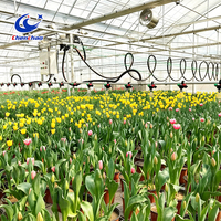 Système d'irrigation mobile suspendu pour serre, machine d'arrosage itinérante pour pépinière de légumes