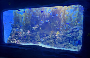 Panel de lámina de acrílico fundido grueso personalizado para acuario grande, piscina, túnel de Oceanario, ventanas de visualización subacuáticas - Product Image 3