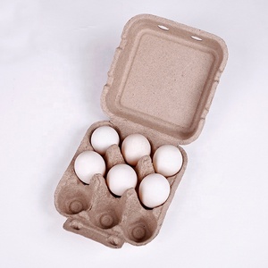 Manufacturer Biodegradable Egg Box Cardboard Egg Carton Box Pulp Egg Tray Mold