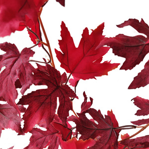 Autres fleurs et plantes <span class=keywords><strong>d</strong></span>écoratives <span class=keywords><strong>Feuilles</strong></span> <span class=keywords><strong>d</strong></span>'érable artificielles <span class=keywords><strong>Feuilles</strong></span> <span class=keywords><strong>d</strong></span>'<span class=keywords><strong>automne</strong></span> suspendues <span class=keywords><strong>Décoration</strong></span> Guirlande de vigne Verdure suspendue - Product Image 5
