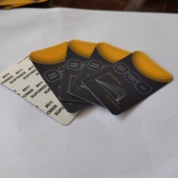 Prototypes de fraisage CNC en acrylique, nylon, PC, ABS, PP, POM, PMMA, aluminium, panneau frontal d'amplificateur personnalisé pour l'audio automobile