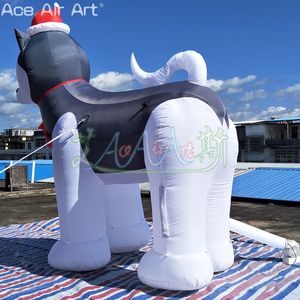 Cão <span class=keywords><strong>Husky</strong></span> Inflável Realista para Eventos, Propaganda & Decoração Animal Inflável <span class=keywords><strong>Husky</strong></span> Siberiano Inflável para Promoções - Product Image 4