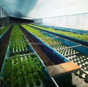 Peralatan sistem pertanian ikan tangki pertanian ikan di aquaponik rumah kaca komersial RAS aquaponik sistem - Product Image 5