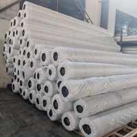 Géogrille en polyester à haute résistance à la traction pour la construction de routes, les murs de soutènement et la protection des pentes