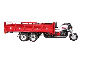 รถสามล้อเก้าล้อบรรทุก300cc รถสามล้อบรรทุกน้ำมันเบนซินรถสามล้อบรรทุกหนัก - Product Image 4