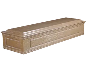 Cardboard or Paper Coffin with Plywood Veneer EU-005