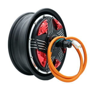 Motore Brushless DC DKYS Moto da 12 Pollici 40H 3000W 72V per Moto Elettriche a Magneti Permanenti ND72450 - Product Image 2