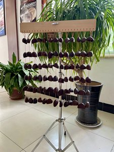 <span class=keywords><strong>J</strong></span> u <span class=keywords><strong>J</strong></span> u Seed Shell Chimes pour la guérison sonore, les bains de gong ou les séances de percussion acoustique. - Product Image 4