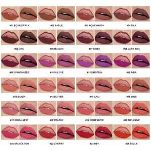 OCHAIN Venta al por mayor Sin logotipo 24 colores Vegano Set Etiqueta privada personalizada Lápiz labial mate impermeable de larga duración y kit de delineador de labios - Product Image 6