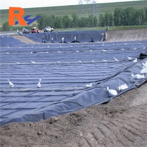 Geomembrana Impermeable de PE para Acuicultura, Tanques de Piscifactorías, Vertederos, Plantas Químicas, Conservación del Agua y Campos de Golf - Product Image 3