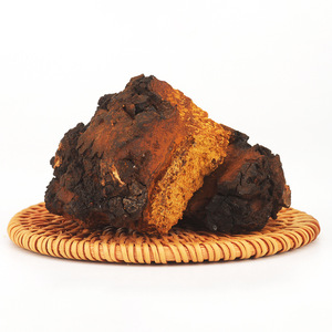 بالجملة بيع بالجملة عضوي الفيرخ عيش الغراب الطازج شاجا فطر مجفف تشاجا مستخرج - Product Image 4