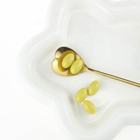 Capsules de Gélules Amincissantes Brûle-Graisses Naturelles de Fabrication GMP, OEM ODM, Complément Alimentaire Végétarien