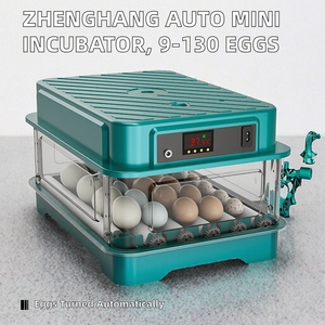Incubateur à œufs miniature robuste pour 10 œufs de poulet, canard, oie, oiseaux - Product Image 2
