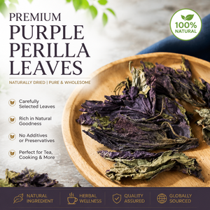 Hojas de Perilla (Shiso Perilla Frutescens) Secas <span class=keywords><strong>para</strong></span> Aliviar <span class=keywords><strong>el</strong></span> Resfriado, Venta al por Mayor, Grado Alimenticio - Product Image 1