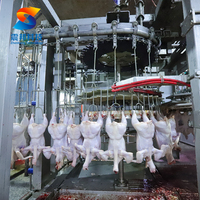 Machine d'abattage de poulet automatisée ZB avec cône de destruction pour poulets de chair