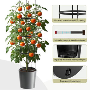 <span class=keywords><strong>Maceta</strong></span> <span class=keywords><strong>de</strong></span> riego automático <span class=keywords><strong>de</strong></span> fábrica profesional Macetas <span class=keywords><strong>de</strong></span> plantas <span class=keywords><strong>de</strong></span> riego automático <span class=keywords><strong>con</strong></span> soportes <span class=keywords><strong>de</strong></span> soporte - Product Image 4