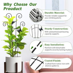 Lot de 2 treillis métalliques extensibles pour plantes avec finition laquée, support robuste pour plantes grimpantes, fleurs, lierre - Utilisation en intérieur - Product Image 4