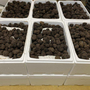 Cajas de Espuma EPS Ecológicas y Ligeras Personalizadas OEM, Caja Térmica Reciclable de 2L para Envío de Medicamentos y Alimentos Aislados - Product Image 3