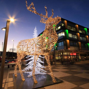 Décorations de Noël illuminées en plein air sur mesure, motifs de famille de rennes grandeur nature, pour les festivals de lumières des zoos et parcs - Product Image 6