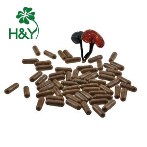 Polvo de hongos Reishi <span class=keywords><strong>ganoderma</strong></span> lucidum, cápsula de polvo de porro, extracto de seta reishi, cápsulas - Product Image 1