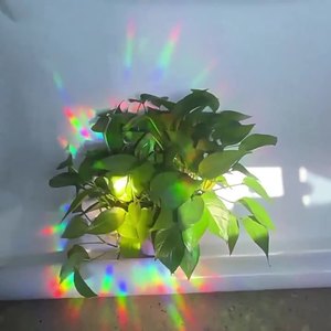 Adesivo per Finestre a Mosaico con Elettricità Statica 100*45cm Pellicola per Vetri Trasparente e Pellicola per Vetri Rigati - Product Image 3