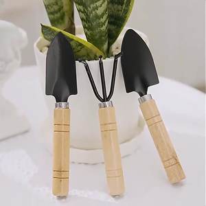 Juego de 3 Herramientas de Jardinería de Acero al Carbono, Herramientas para Plantar, Desherbar y Excavar, Paleta para Suculentas, Mini Pala, Suministros de Jardinería OEM - Product Image 3