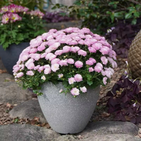 Pots de plantes en plastique peints, résistants aux UV, aspect pierre moderne, biodégradables et écologiques, pour la décoration de jardins, de maisons et de centres commerciaux