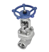 Matériaux en acier forgé de haute qualité, soudure par manchon, joint fileté NPT, vanne d'arrêt haute température pour l'huile et le gaz J61F F304
