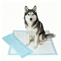 Almohadillas Absorbentes para Perros, Anti-Fugas, Impermeables, Desechables, Plegables, para Entrenamiento de Perros, Cachorros y Cuidado de Mascotas