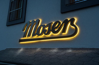 Letrero Electrónico Personalizado con Logotipo 3D Iluminado por LED, Resistente al Agua IP65, para Interiores/Exteriores, para Centros Comerciales y Publicidad Empresarial