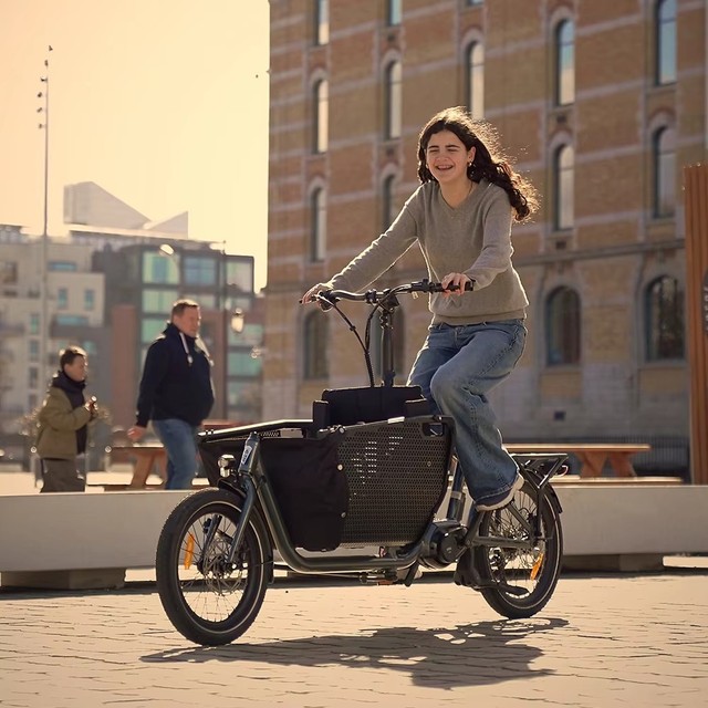 Front Loading Foldable Basket Pedal Electric 2 Wheel Cargo Bike ATMOSE Aluminum Alloy Ebike Lithium Battery 15AH for Sale