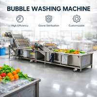 Industriële bubbelgroentewasmachine van roestvrij staal, automatische fruit- en groentewasser voor voedselverwerkingsbedrijven