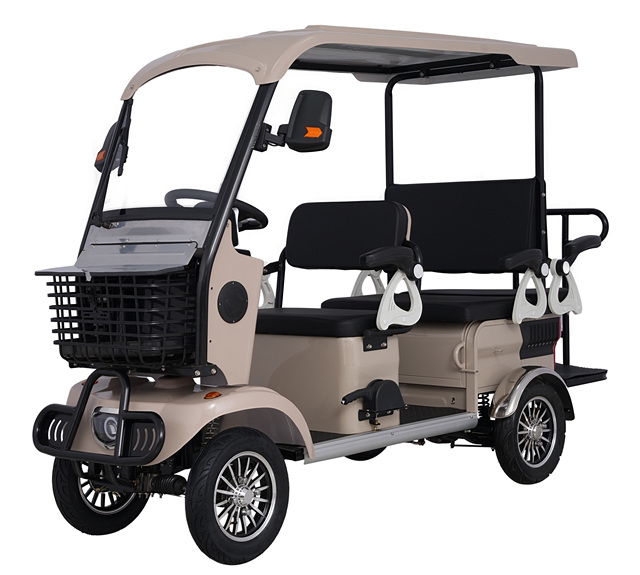 Holladay 800W Electric Mobility Scooter 4 Wheeled Disabled Electric 4-Wheeler Buggy Open Body Cargo Loading Electric Quadricycle