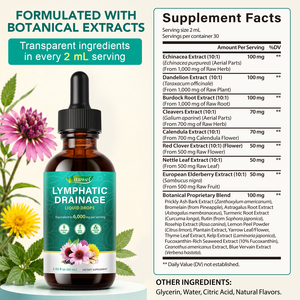 Integratore Erboristico Itawel per Drenaggio Linfatico e Supporto <span class=keywords><strong>Immunitario</strong></span>, Formula Botanica 21-in-1, Gocce Liquide per Adulti - Product Image 4