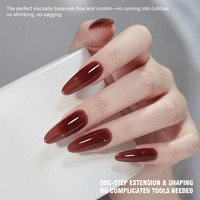 Gel dur professionnel pour extension d'ongles, haute dureté, zéro fragilité, auto-nivelant, à base de UV/LED, 20g, tenue 30+ jours, végan