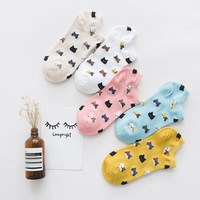 Nouveau printemps automne nouveauté hérisson Animal équipage chaussettes pour femmes adultes adolescentes étudiants anti-dérapant Spandex matériel