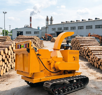 Broyeur de bois sur chenilles maniable, débit de 5 tonnes par heure avec conception anti-blocage pour le déblaiement des dégâts d'ouragan