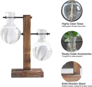Vase à ampoule <span class=keywords><strong>moderne</strong></span> en verre Terrarium pour plantes de bureau avec support rétro en bois massif et support pivotant en métal pour plantes hydroponiques déco - Product Image 5