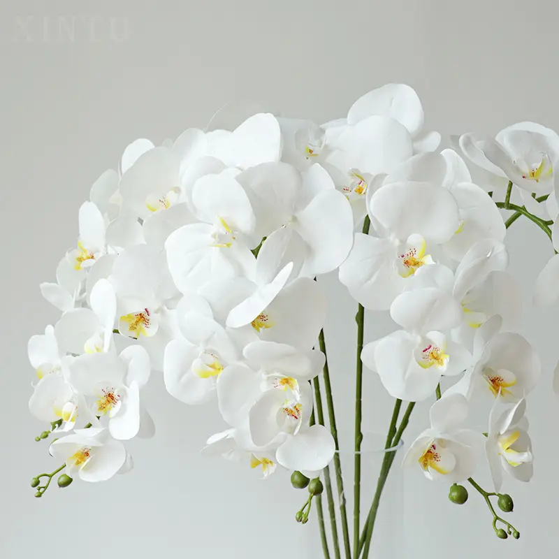 IFG Bunga Anggrek Buatan Sentuhan Nyata Putih untuk Dekorasi Tengah Meja Pernikahan
