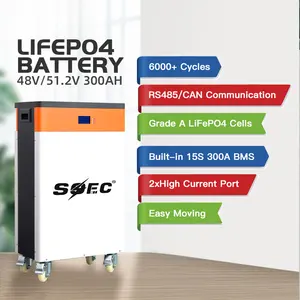 Eu Voorraad Lithium Ion Batterijen 48V 1.2V 200ah 304ah 10kwh 15kwh Zonnepanelen Power Wall 48V Lifepo4 Batterij