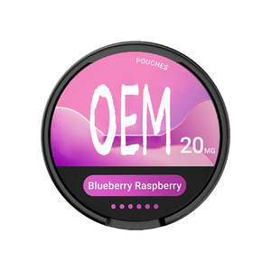 2026 Vente en gros usine de boîtes de snus, sachets de snus de haute qualité, sachets de snus saveur chewing-gum glacé, poudres aromatisées personnalisées, boîtes de snuff - Product Image 5