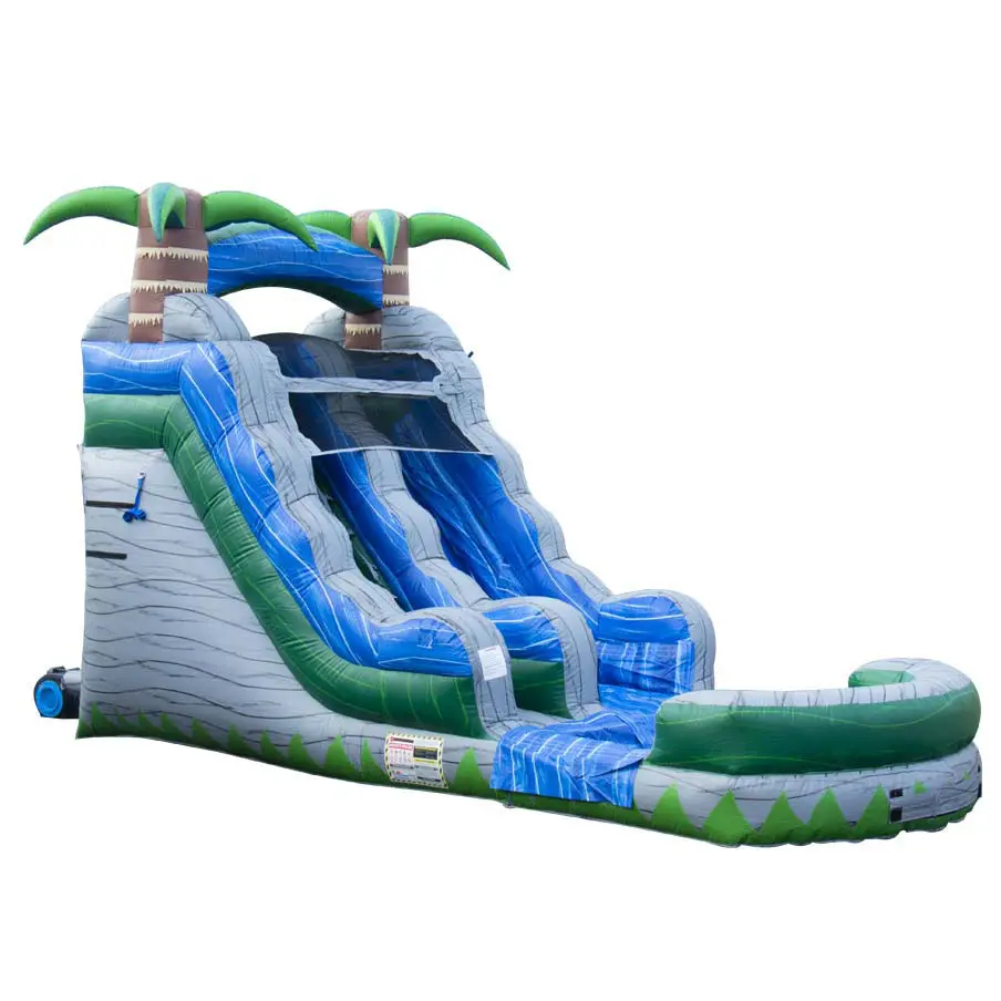 cheap Commercial use Blue crush dual lane water slide for rent