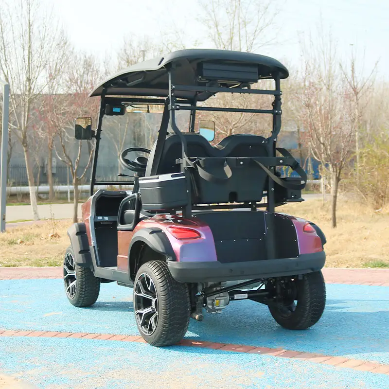 4 Seater Hunting Custom Battery 48 Volt Lithium Powered Street Legal Electric Golf Cart with Curtis controller