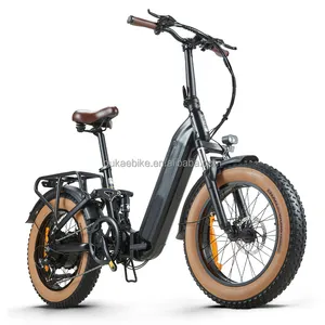 무료 배송 독일 250W 500w 750W 1000w 모터 20Ah 48V 배터리 풀 서스펜션 팻 타이어 전자 자전거 전기 자전거 Ebike