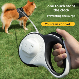 Langlebige Nylon-Hundeleine mit Automatischer Rückzugfunktion, 3M 5M 8M, Neues Design, Bestseller, mit Geschirr für Tägliche Spaziergänge im Freien - Product Image 5