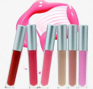 Thương Hiệu Tùy Chỉnh Không Dính Matte Lip Trang Điểm Lỏng Lip Gloss