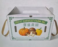 Boîte en plastique ondulé PP écologique, recyclable, réutilisable et pliable pour l'emballage de légumes, fruits, graines, œufs, viande, citrouilles, piments