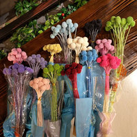 Fleur séchée Craspedia Globosa (Boule dorée) de l'usine du Yunnan pour la décoration de mariage, de la maison, de Noël et du Nouvel An