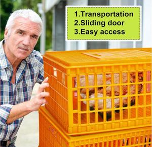 Poulailler à poulet pliable en plastique, petite Cage de Transport des volailles, prix - Product Image 4